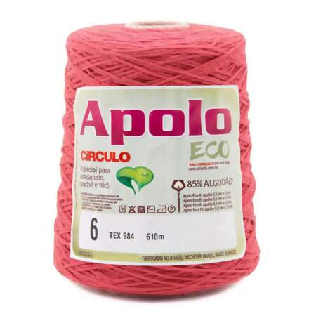Barbante Apolo Eco Circulo N.06 600g