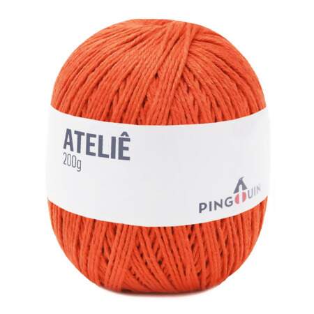 Barbante Ateliê Pingouin 200g