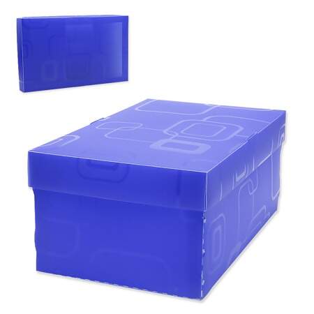 Caixa Organizadora Mini Sapato Dello 2169