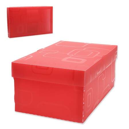 Caixa Organizadora Mini Sapato Dello 2169