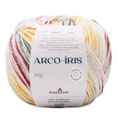 Fio Arco-Íris Pingouin 100g Álbum de Memórias FL