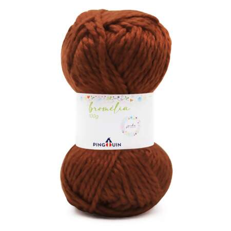 Fio Bromélia Pingouin 100g - Coleção Jardim de Inverno FL