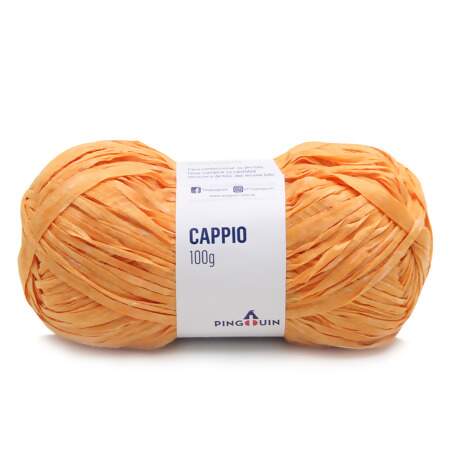 Fio Cappio Pingouin 100g FL