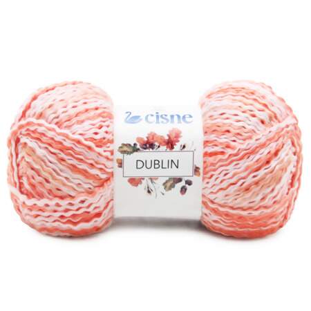 Fio Dublin Cisne 100g FL
