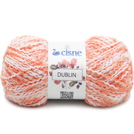 Fio Dublin Cisne 100g FL