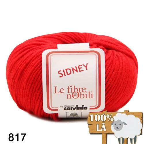 Lã Sidney Cervinia 50g