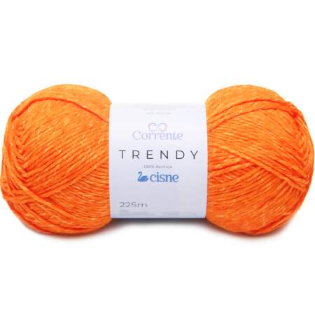 Fio Trendy Cisne 100g FL