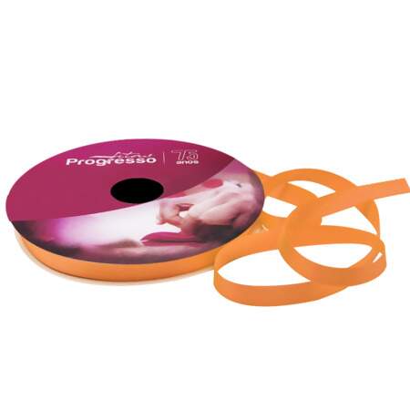 Fita de Cetim N.02 Progresso 10mm com 50mts