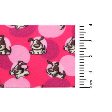 Fita de Cetim Pet Alpet 40mm 0081-10 Patinha Degradê com 10mts FL