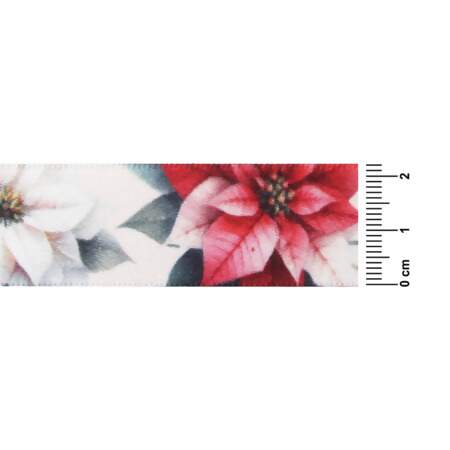 Fita de Cetim Progresso N.05 ECF005TR Flores de Natal 189 22mm 10mts FL