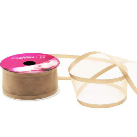 Fita de Voal com Borda de Cetim ZC N.09 Progresso 38mm 10mts FL