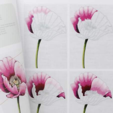 Livro Broder La Nature en 10 Samplers Somptueux 