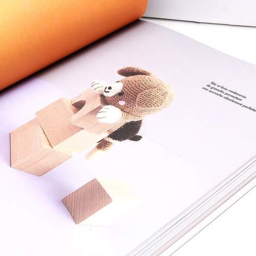 Livro Crocheter Des Amigurumis C Est Tout Simple - Guia Completo de Amigurumi FL