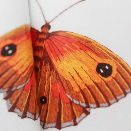 Livro Insectes e Plantes en Peinture á L