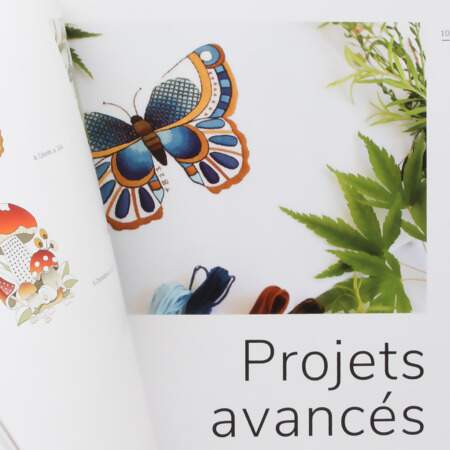 Livre Introduction A La Broderie Blanche En Couleur