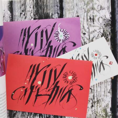 Livro La Calligraphie Moderne Cecilia Skogh