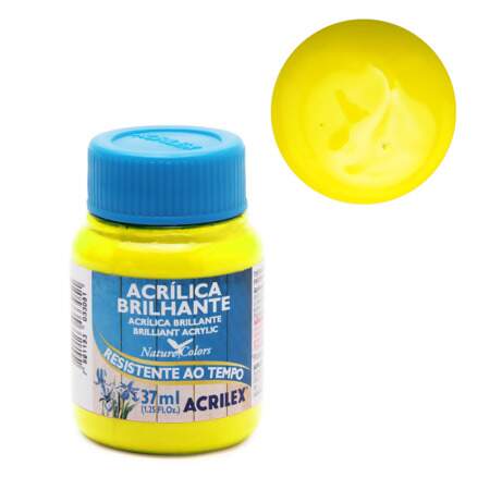 Tinta Acrílica Brilhante Acrilex 03340 37ml