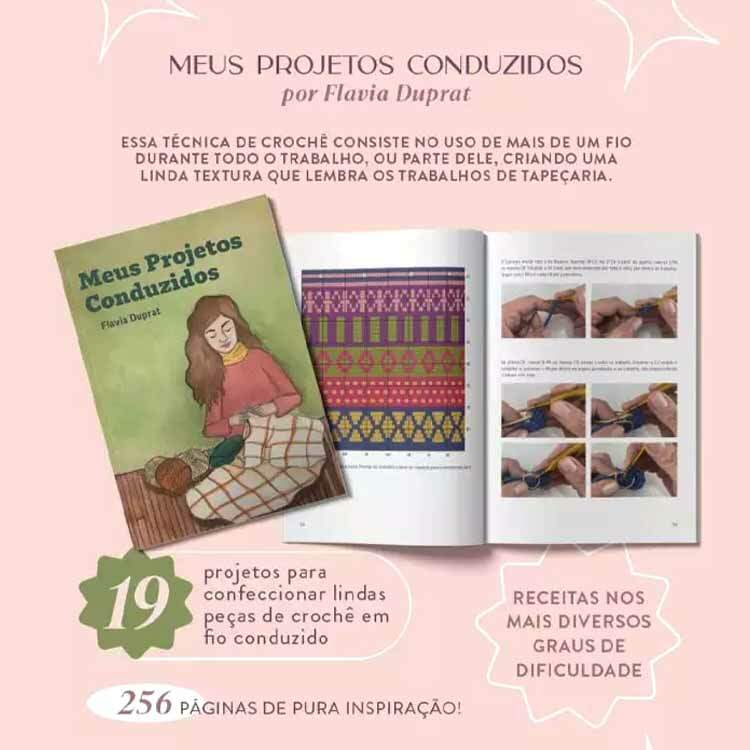 Livro Meus Projetos Conduzidos