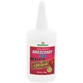 Cola Instantânea B3 Gel Brascola Brascoart para Artesanato 100g