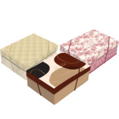 Caixa de Presente Ret. com Tampa Cromus 35x25x11 M 