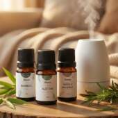 Essência Concentrada Armarinho São José 10ml