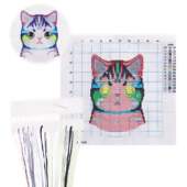 Kit de Bordado Básico para Iniciante sem Bastidor Gato 0101 FL