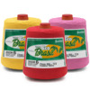 Barbante Eco Brasil N.06 700g