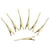 Bico de Pato S.P 5,5cm Dourado com 10 Und