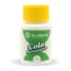 Cola Permanente EuroRoma 37g