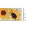 Fita de Gorgurão Junina Progresso N.09 38mm 357 Girassol 10mts