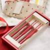 Kit Agulhas para Crochê Tulip Etimo Red TED-001E