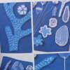 Livro Broderie Botanique Textile