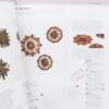 Livro Broderie D