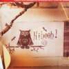 Livro Chouettes Alors Und