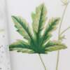Livro Insectes e Plantes en Peinture á L