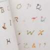 Livro Petits Animaux En Broderie Traditionnelle