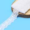 Renda de Algodão Arte Punto RA008 3,8cm Branca 10mts