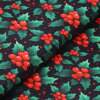 Tecido Patchwork Digital Circulo Natal 486000 2881 0,48x1,50mts