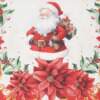 Trilho de Mesa Renova Dohler Natal 122 45cmx1,60mts